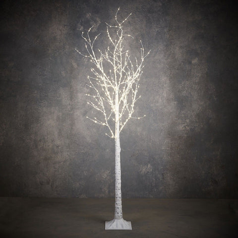 KERST - VERLICHTING - Berkenboom (klassiek wit)