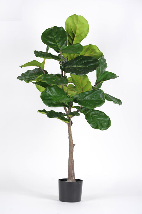 KUNSTPLANT - Ficus Lyrata