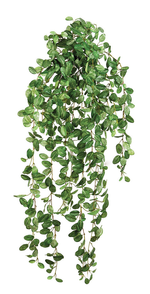 KUNSTPLANT - Fittonia hangplant