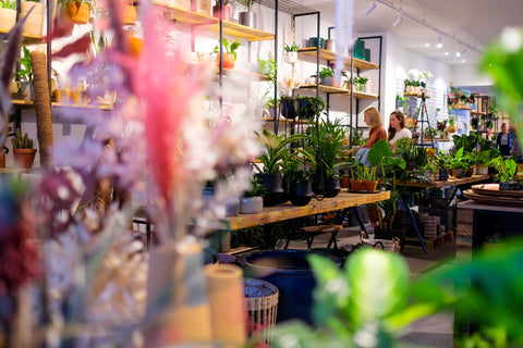 Dé plantenwinkel en bloemenwinkel in hartje Mechelen. Voor thuis, handel- & horecazaken én voor op kantoor!