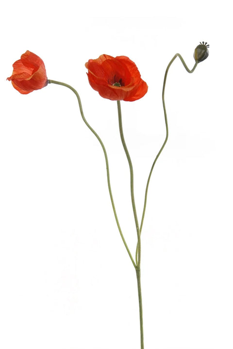 ZIJDE - Papaver (roos/oranje)