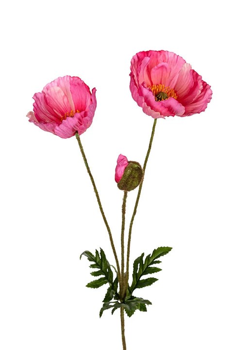 ZIJDE - Papaver (roos/oranje)