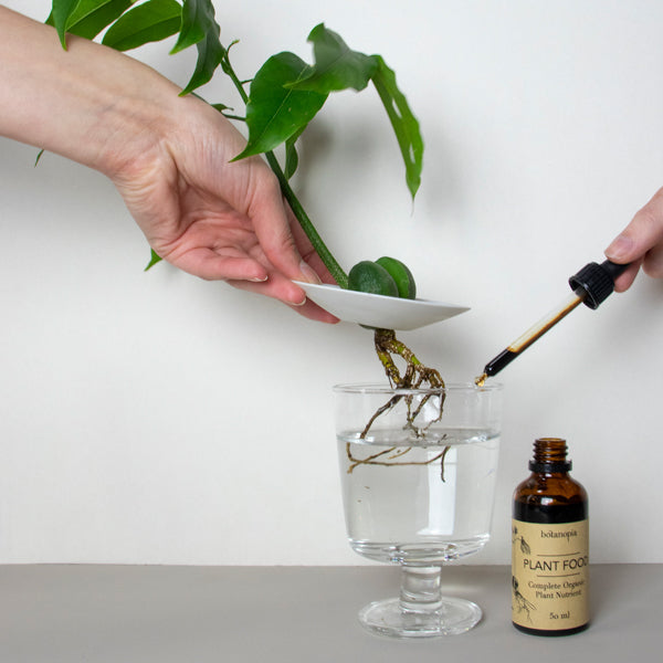 VOEDING - Biologische plantenvoeding 50ml met pipet