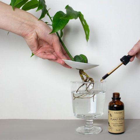VOEDING - Biologische plantenvoeding 50ml met pipet