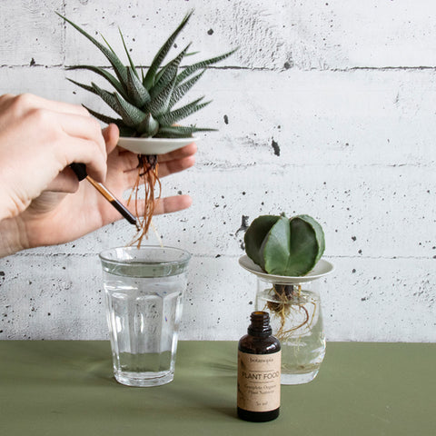 VOEDING - Biologische plantenvoeding 50ml met pipet