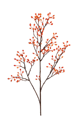 ZIJDE - Rozenbottel bloem