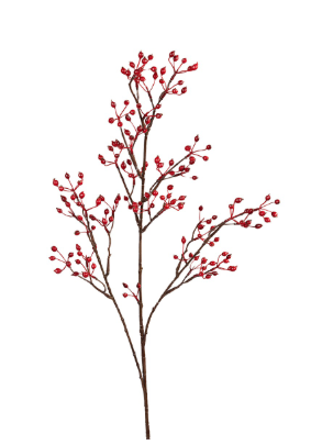 ZIJDE - Rozenbottel bloem