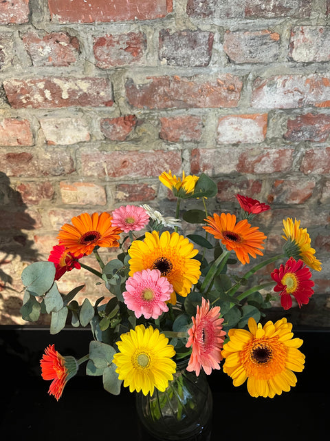 VERSE BLOEMEN - Gerbera boeket