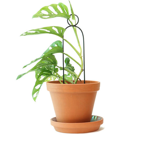 STEUN - ùmni plantensteun POMPOM - Klimplantensteun