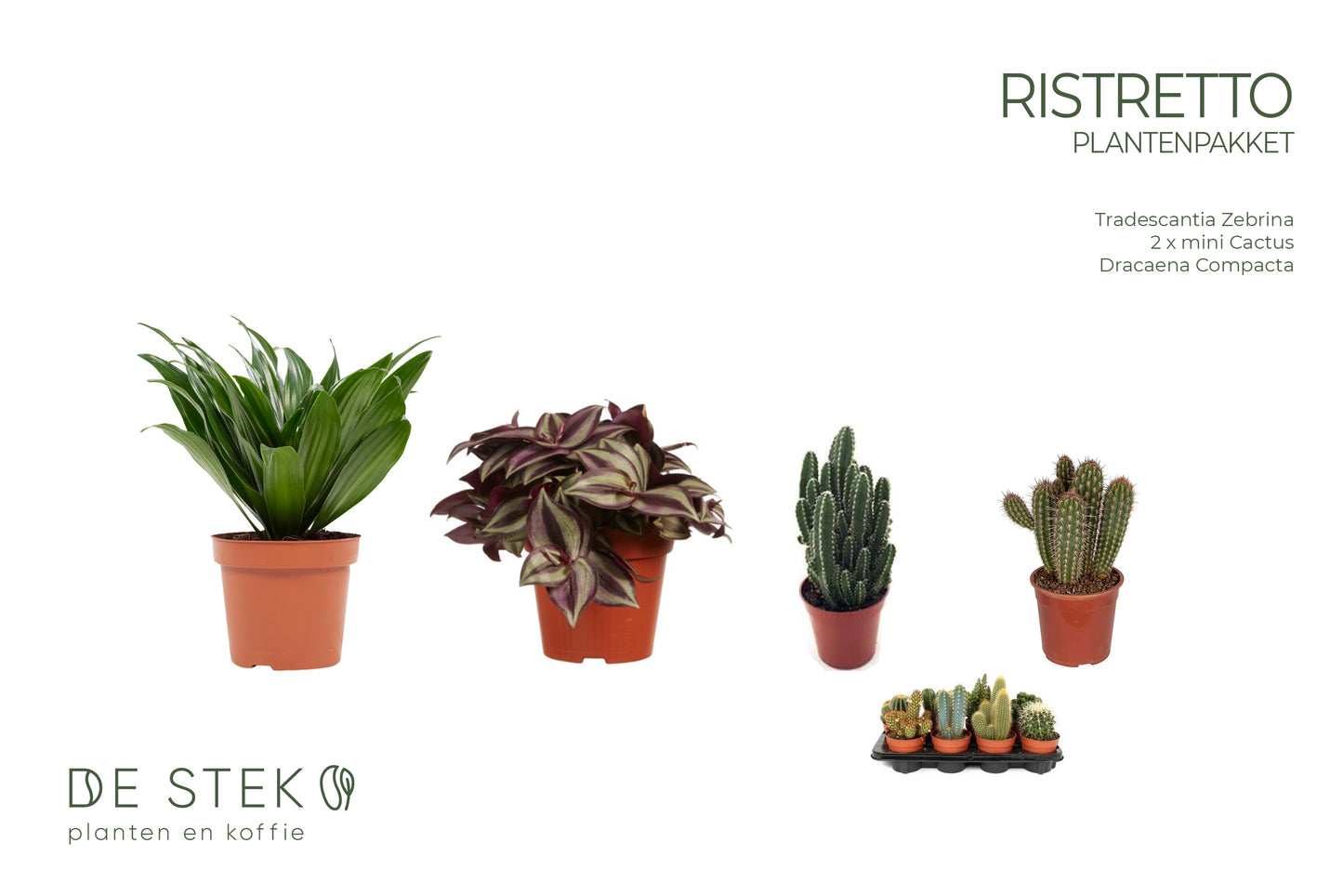 PAKKET - Kamerplantenset ristretto