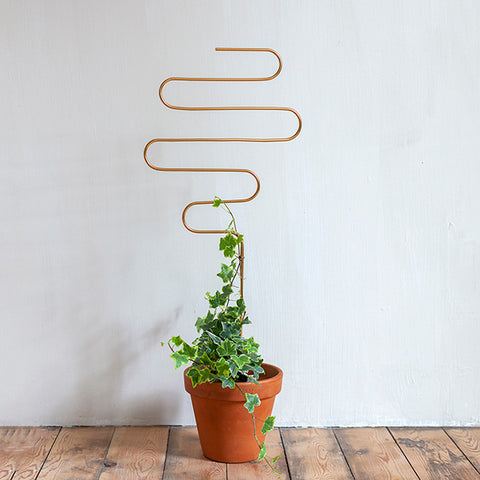 STEUN - Gouden plantensteun squiggle - Klimplantensteun