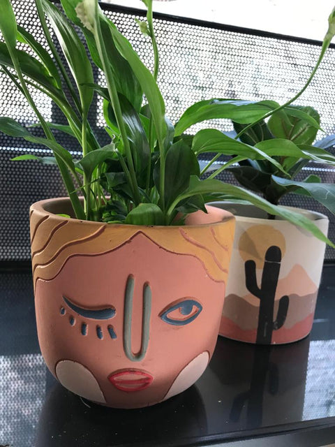PAKKET - Breng wat zon op je bureau