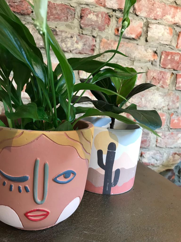 PAKKET - Breng wat zon op je bureau