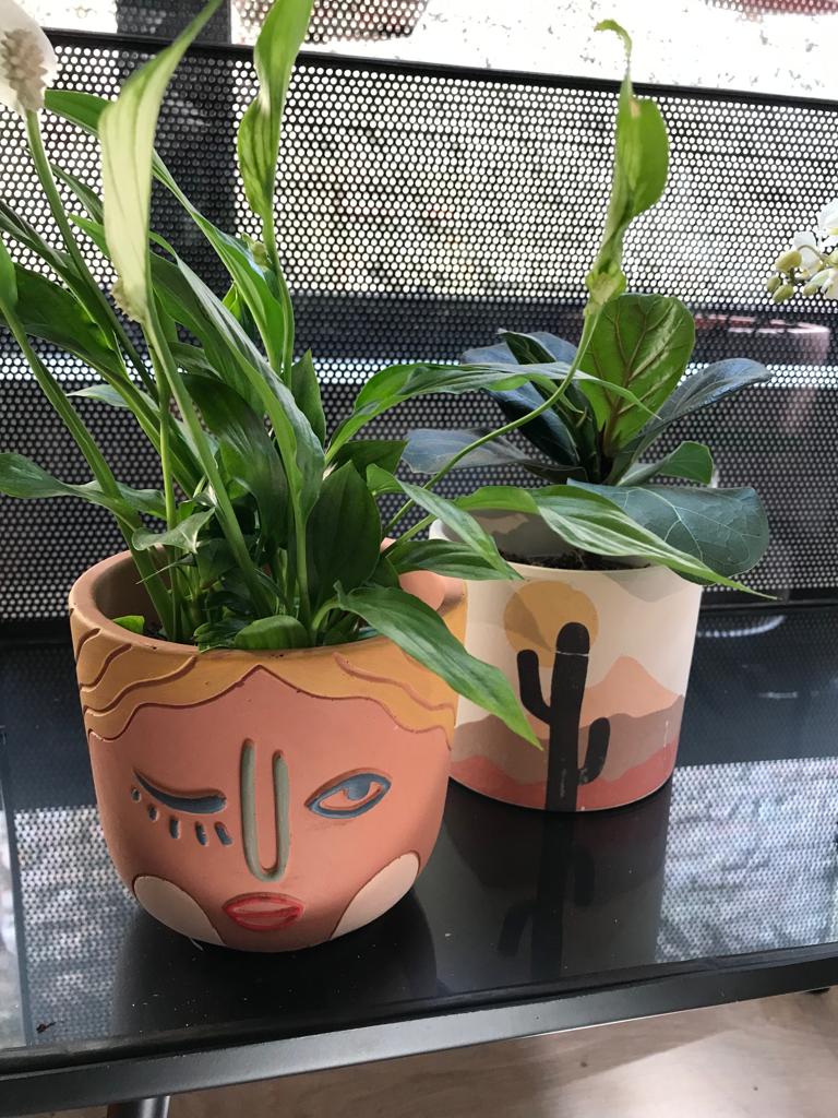 PAKKET - Breng wat zon op je bureau