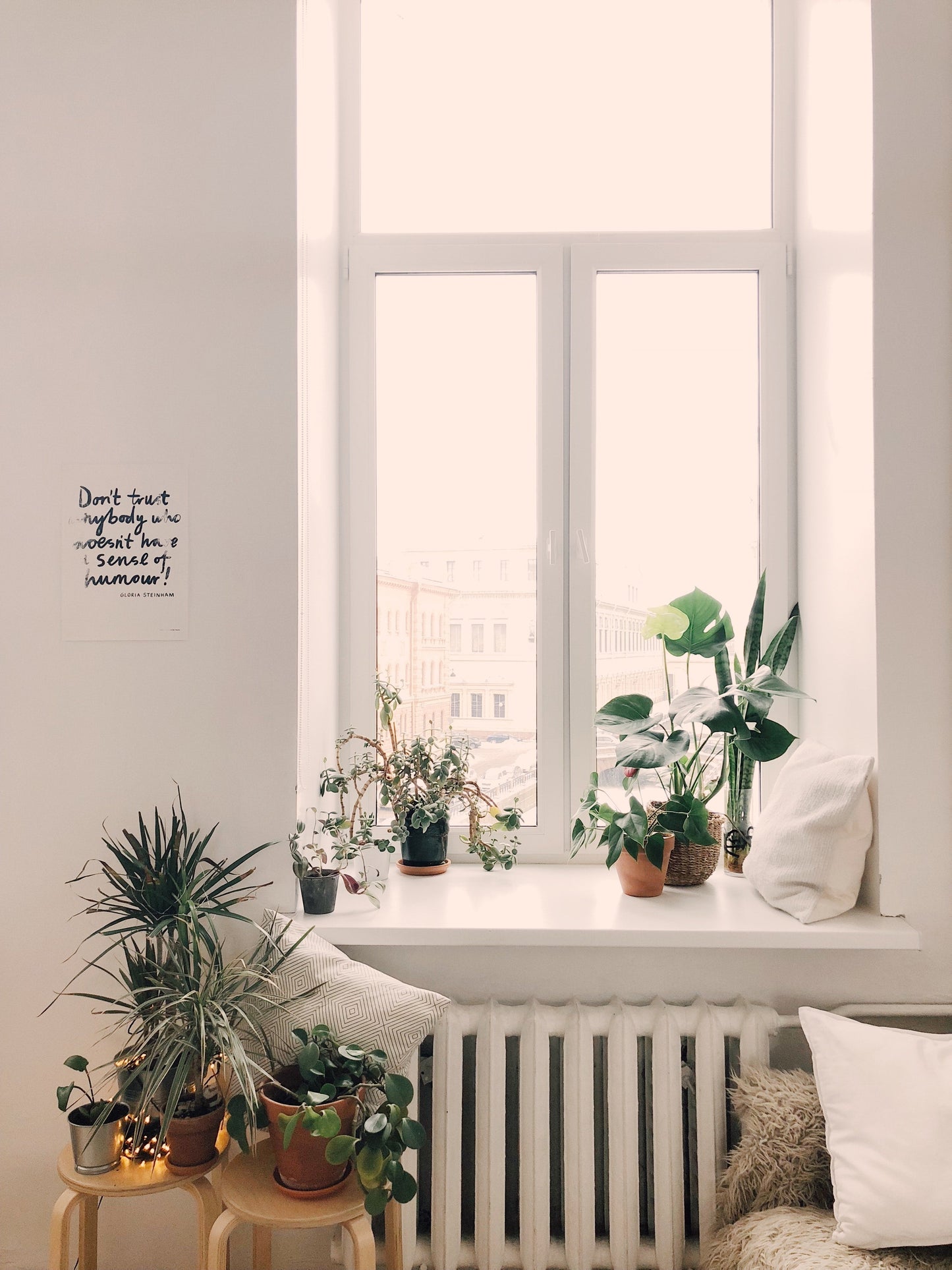 PAKKET - Kamerplanten kantoorbox XL