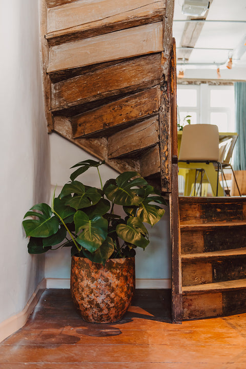 B2B - plantpakketten