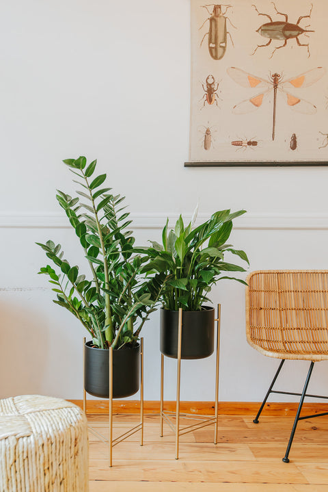 B2B - Groenstyling & onderhoud