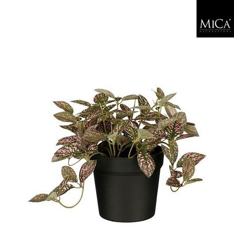 KUNSTPLANT - Fittonia in pot (roze)