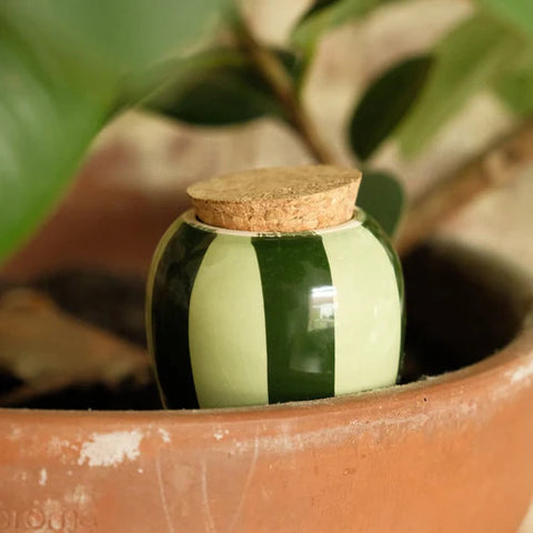 VERZORGING - OLLA bewateringsysteem (PEPIN)