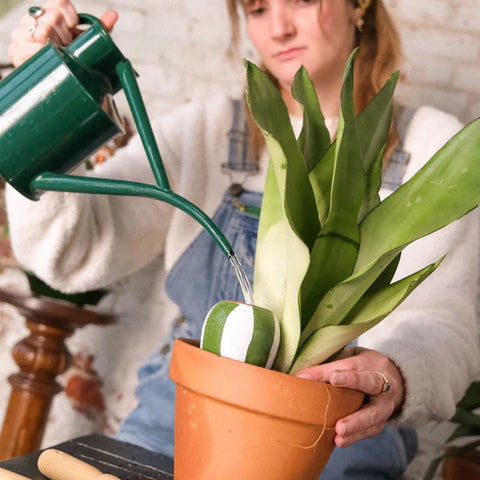 VERZORGING - OLLA bewateringsysteem mini - THE STRIPED (PEPIN)
