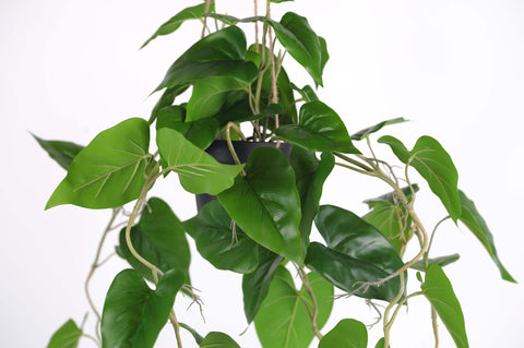 philodendron hangplant KUNSTPLANT