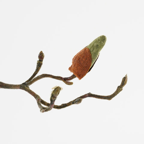 ZIJDE - Magnolia kunstbloem (roze)