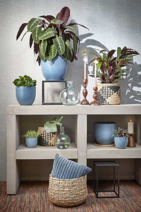 MAND - Rieten mand (AVALON)