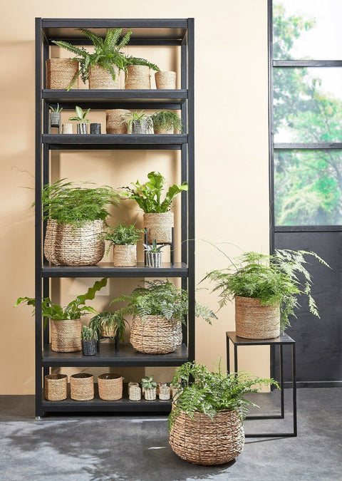 MAND - Rieten mand (AVALON)