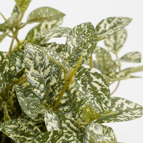 KUNSTPLANT - Fittonia in pot (groen bont)