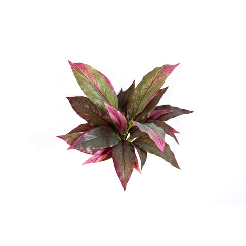 KUNSTPLANT - Cordyline rood/groen