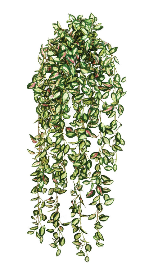 KUNSTPLANT - Hoya hangplant