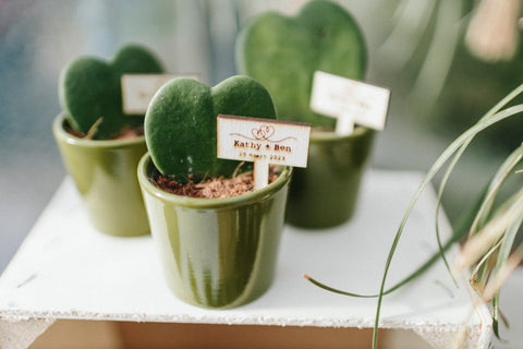 VERSE BLOEMEN - TROUW - gastengeschenk