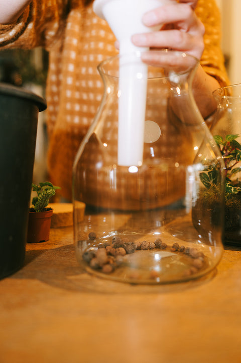 WORKSHOP - Terrarium maken en verzorgen (26/09)
