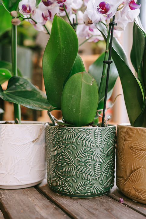 VADERDAG - pakket voor echte mannen