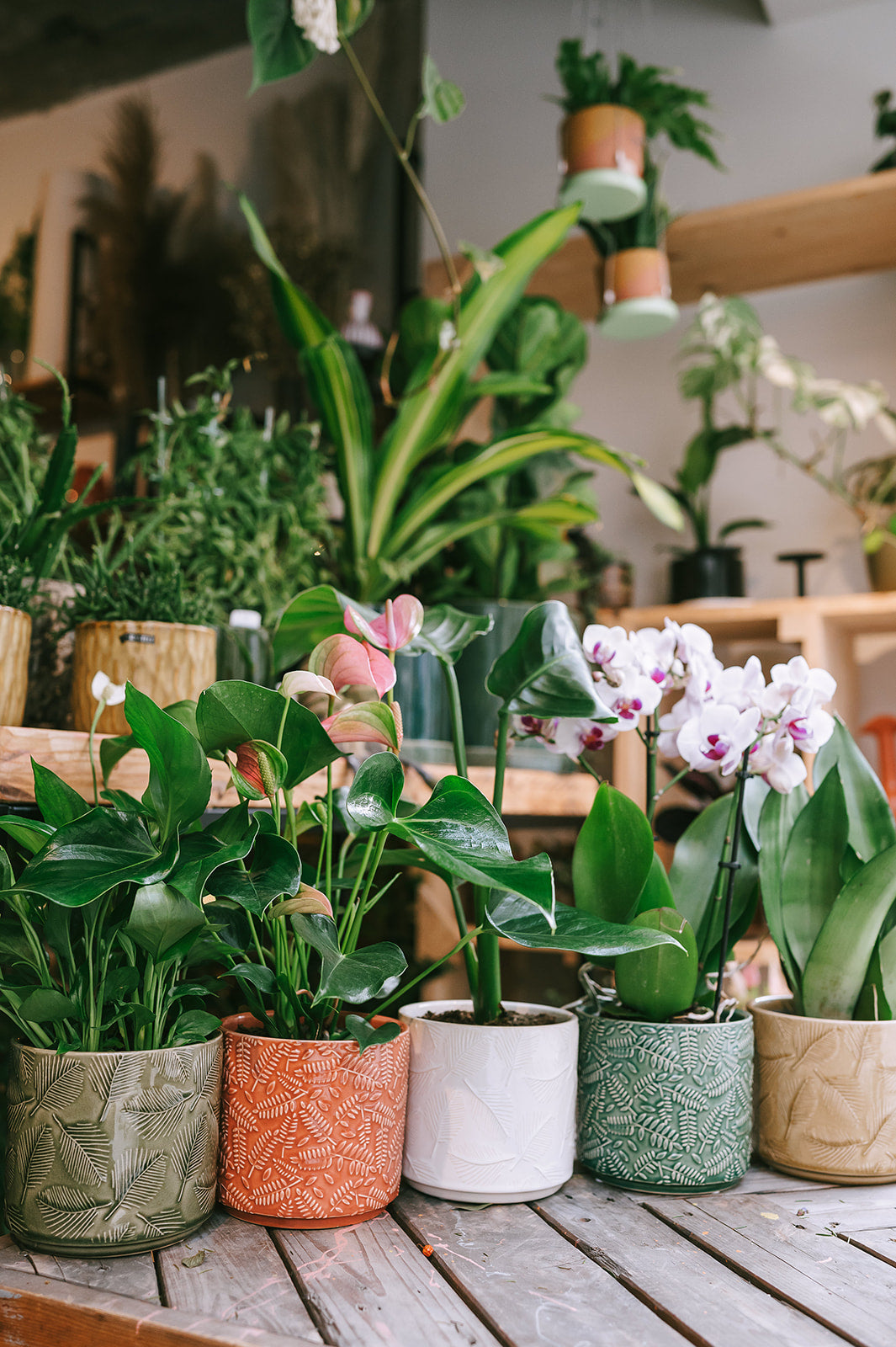 PAKKET - Fleurige plant in bijpassende pot