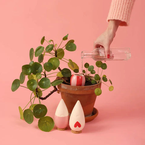 VERZORGING - OLLA bewateringsysteem mini - THE LOVERS (PEPIN)