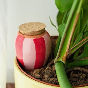 VERZORGING - OLLA bewateringsysteem (PEPIN)