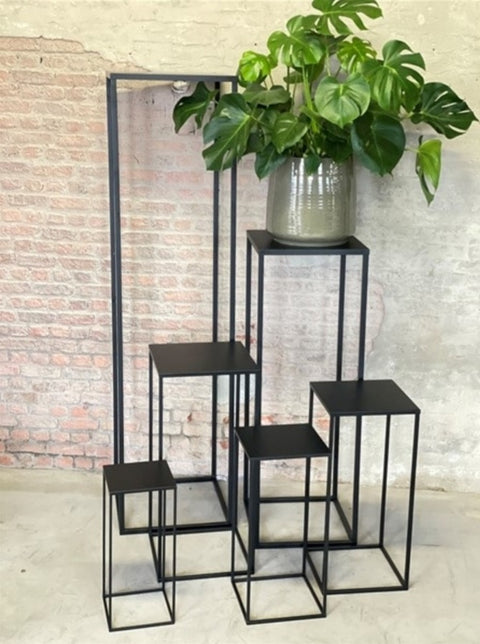 STAANDER - Californië staander