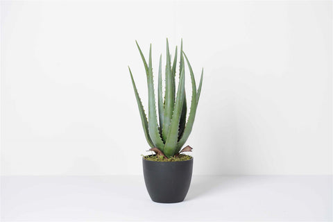 KUNSTPLANT - Aloe vera sierplant