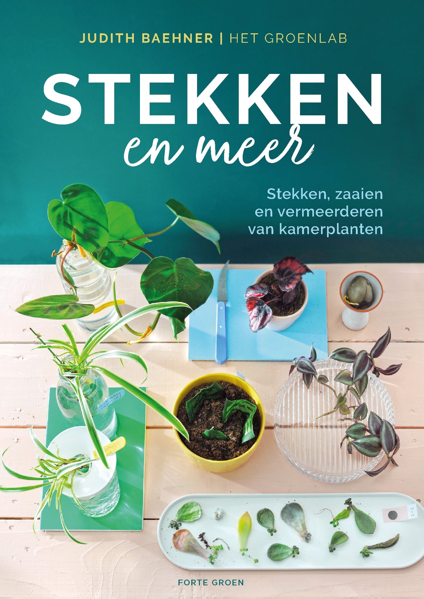 Boek - Stekken en meer