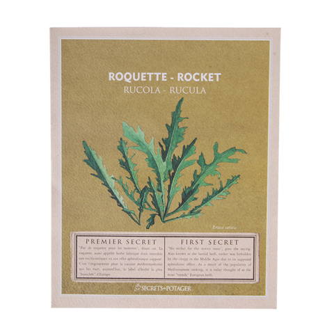 ZADEN - Zaadpakketjes