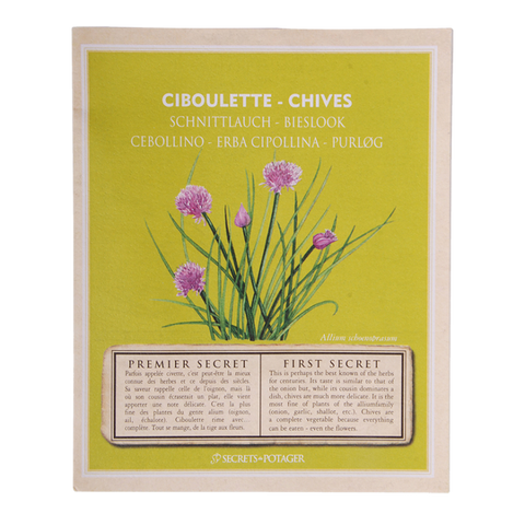 ZADEN - Zaadpakketjes