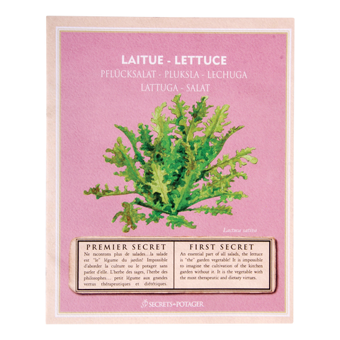 ZADEN - Zaadpakketjes