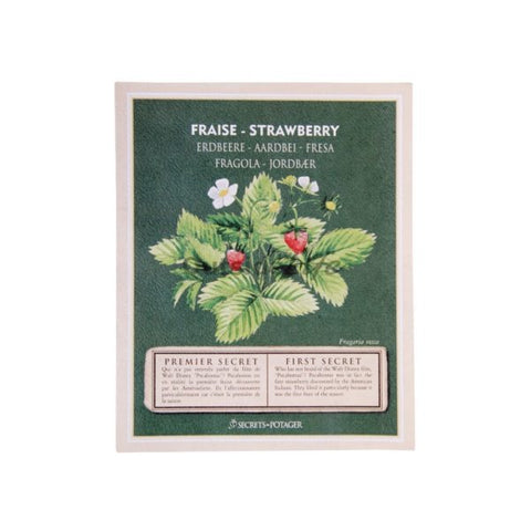 ZADEN - Zaadpakketjes