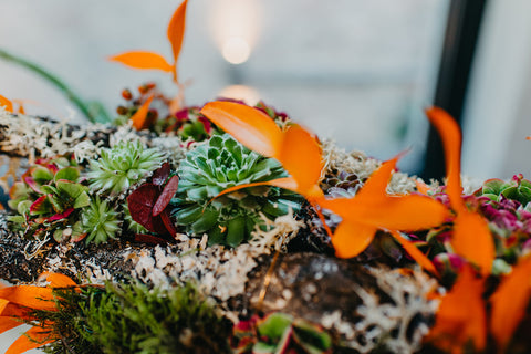 VERSE BLOEMEN - Herstig bloemstuk met sierstokken