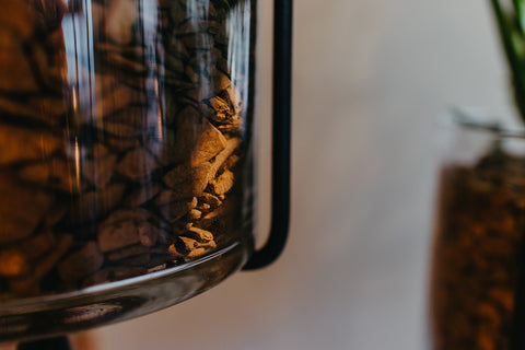 PAKKET - Kamerplantenset Dalgona Coffee