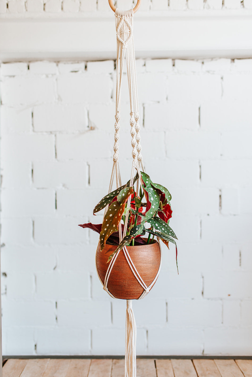 Workshop macramé - Knoop je eigen planthanger (groepsaanvraag)