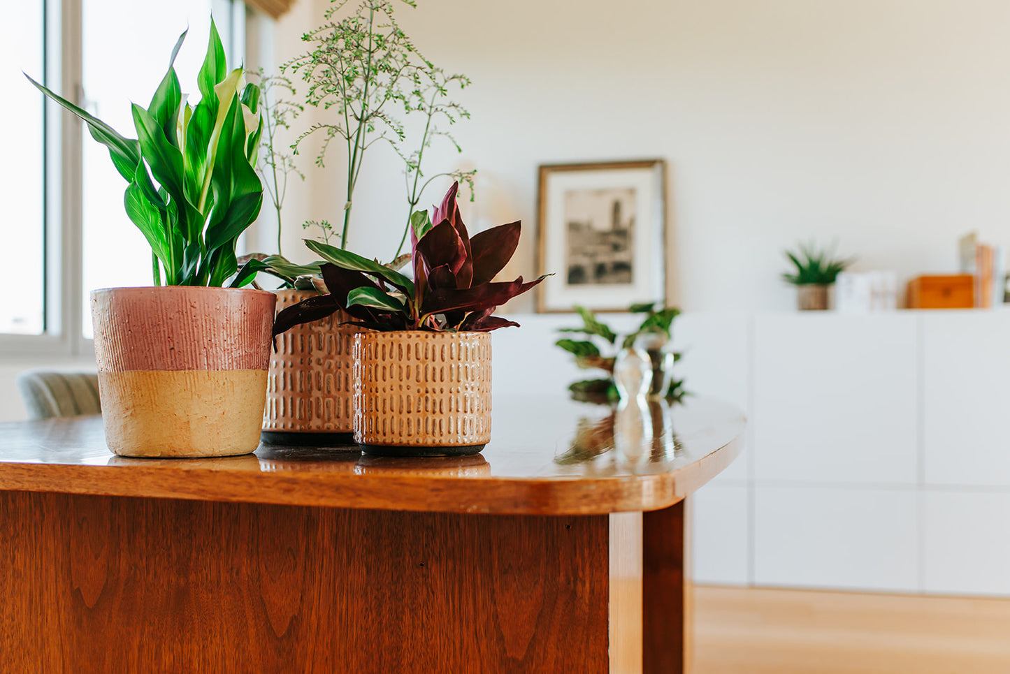 Relatiegeschenk: Plantenpakket bureau