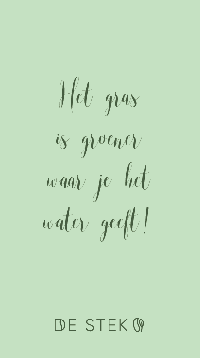 KAARTEN - geschenkkaart