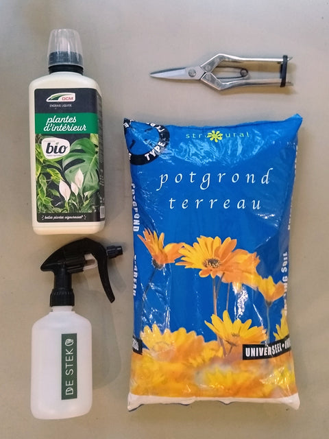 PAKKET - Kamerplanten liefde